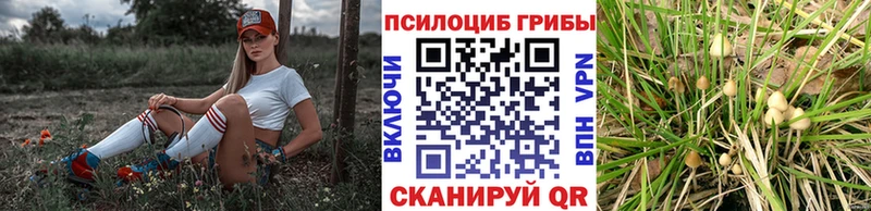 Псилоцибиновые грибы мухоморы  наркотики  Пушкино 